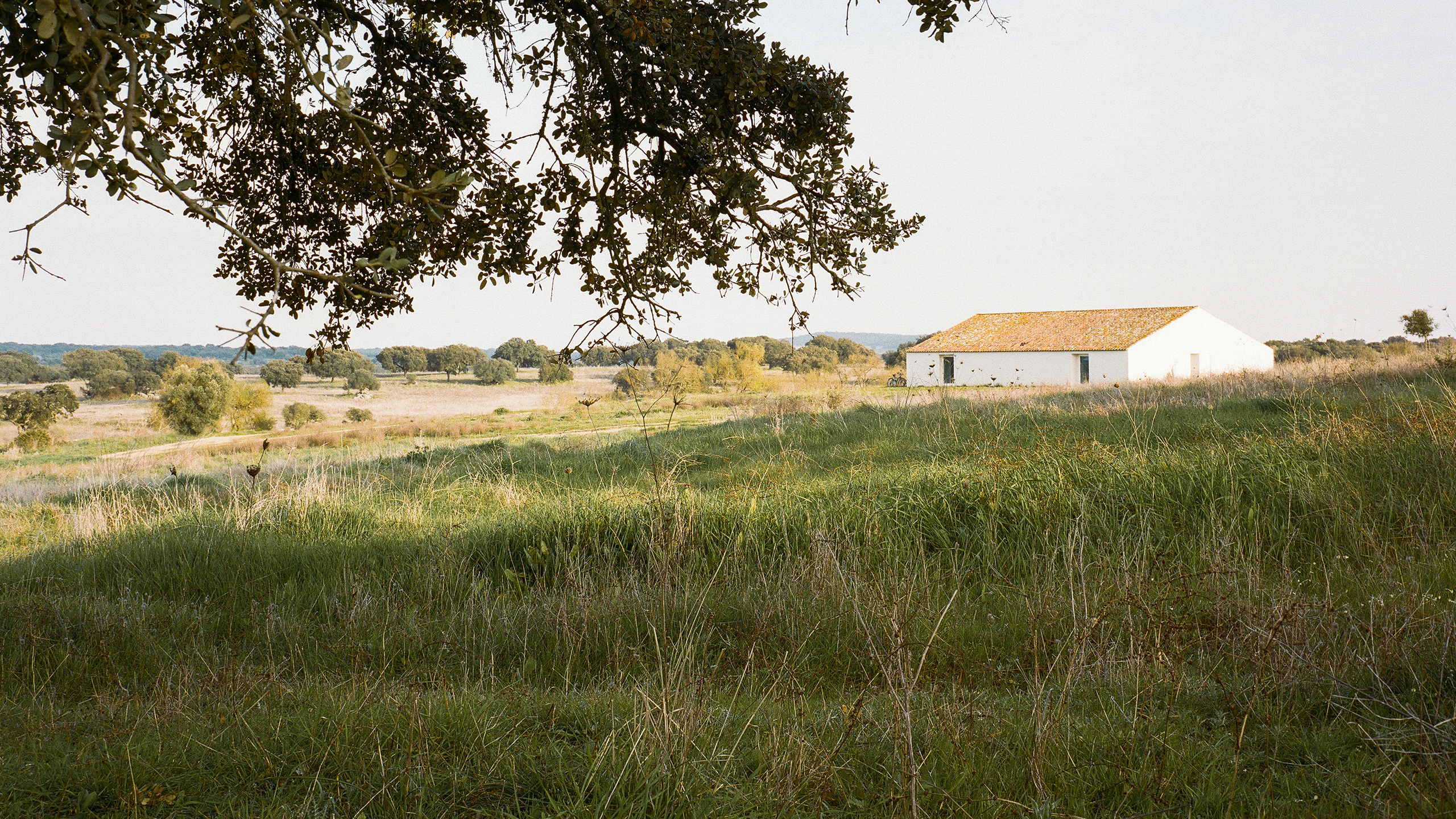 YINJISPACE - Aires Mateus Architecture